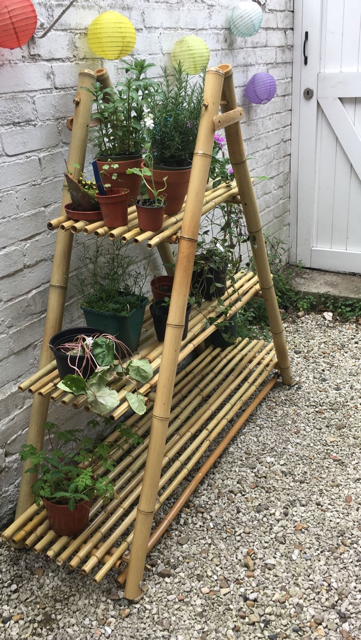 Bamboo plant stand. Indoors or out. Various sizes. 